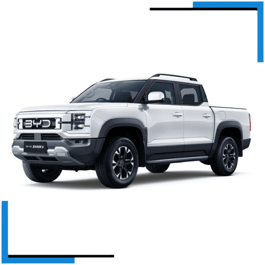 BYD Shark Seat Covers